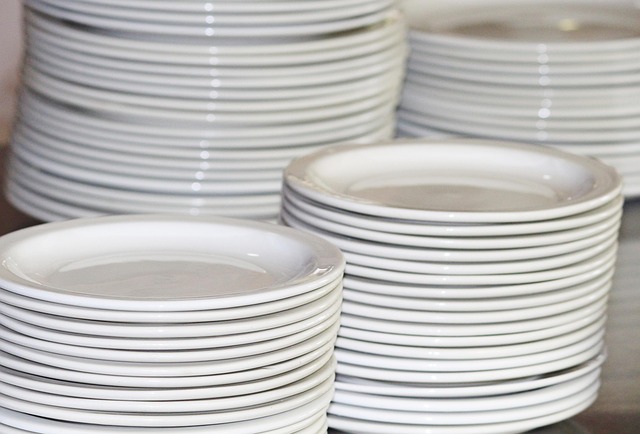 Corelle plate — representative photo